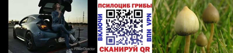 это клад  Ухта  Псилоцибиновые грибы прущие грибы  хочу наркоту 